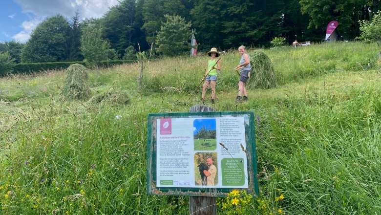 participants on the meadow orchard in June 2023, © Naturpark Purkersdorf