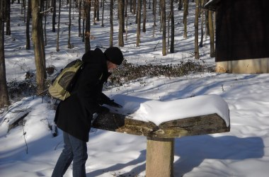 Winter tours in the nature park, © Naturpark Purkersdorf Winter tours in the nature park, © Naturpark Purkersdorf
