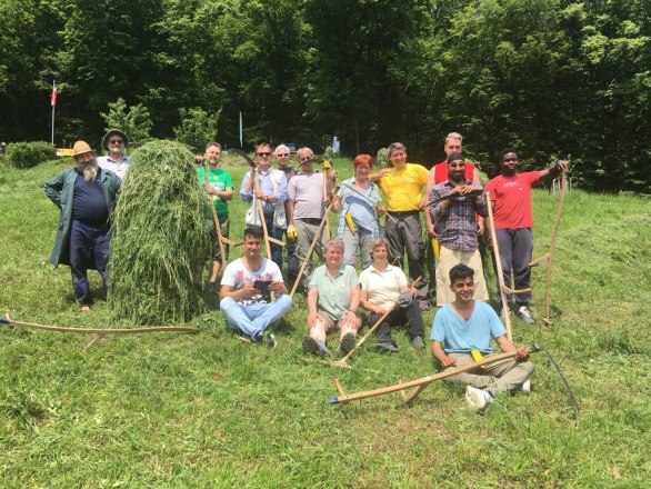 Einsatz auf der Feihlerhöhe, © Naturpark Purkersdorf Einsatz auf der Feihlerhöhe, © Naturpark Purkersdorf