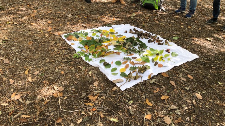 Erlebnisangebote Erlebnisangebote