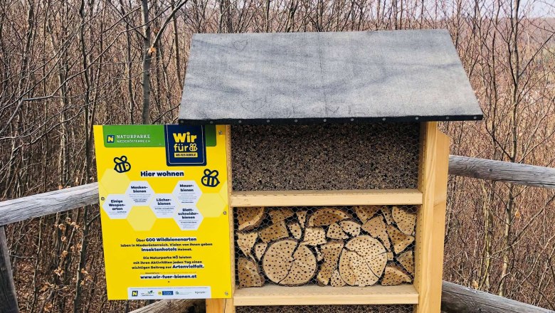 Plattform Standort Wildbienen, © Naturpark Purkersdorf Plattform Standort Wildbienen, © Naturpark Purkersdorf