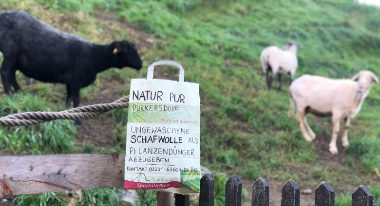 Sheep wool as a plant fertilizer, © Naturpark Purkersdorf Sheep wool as a plant fertilizer, © Naturpark Purkersdorf