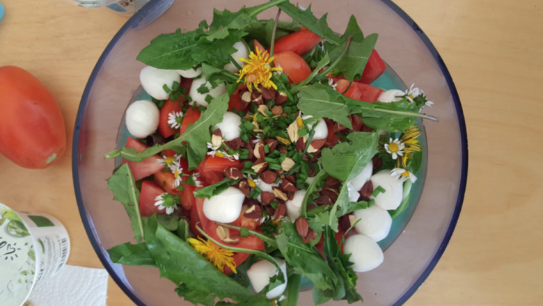 Dandelion salad