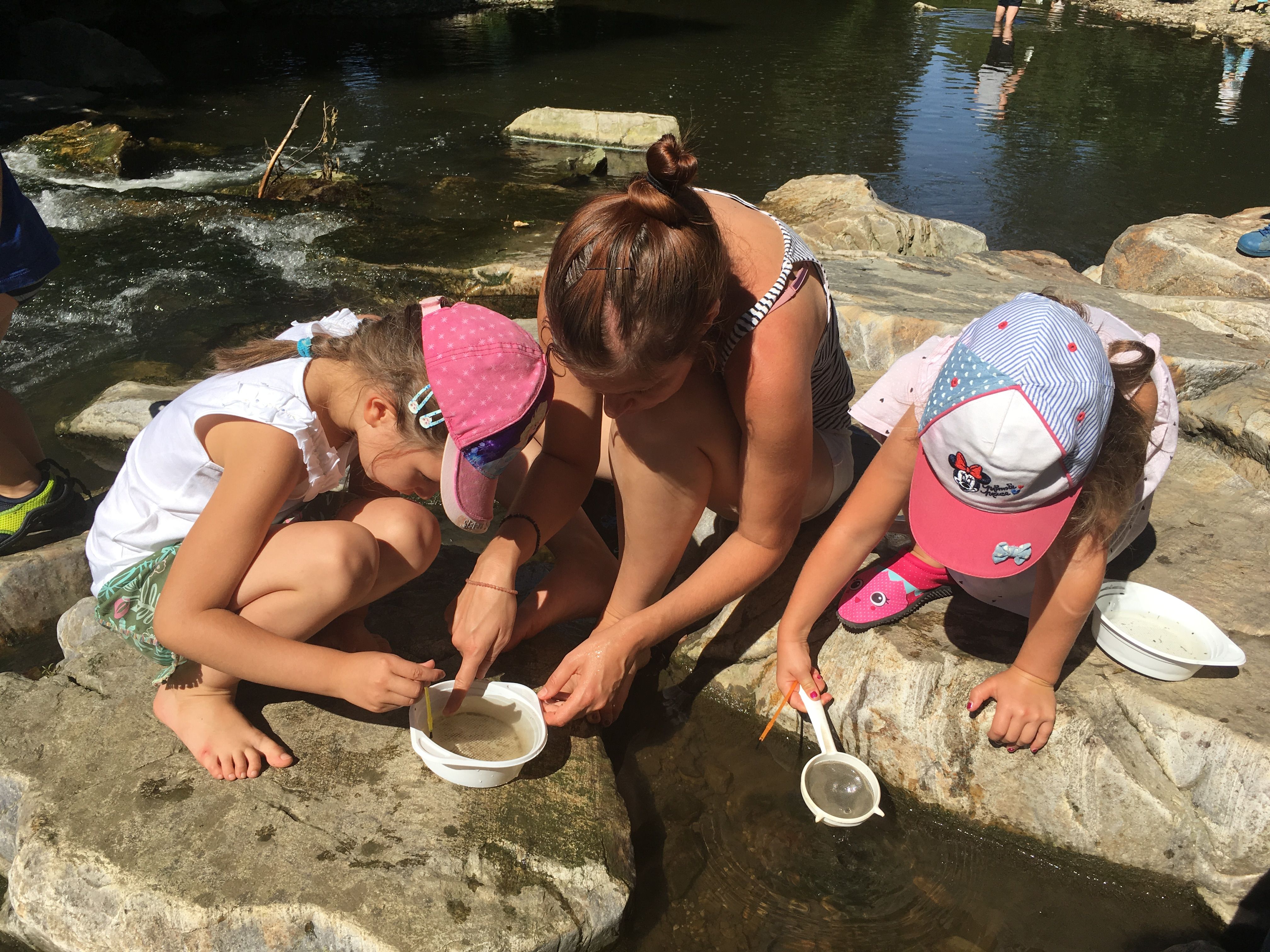 Lebensraum Wasser: Kinder erforschen am Wasser