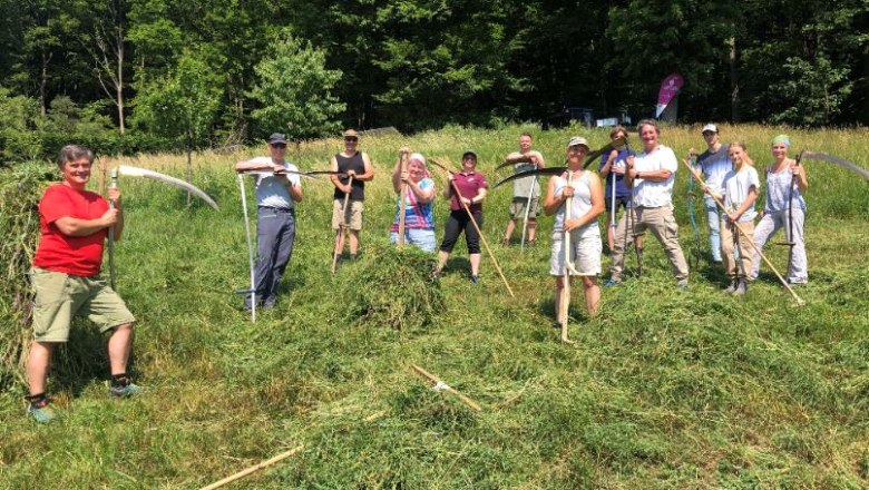 Aktionstag Feihlerhöhe Juni 2021, © Naturpark Purkersdorf