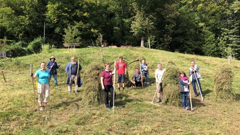 Veranstaltung: Einsatz auf der Feihlerhöhe Oktober 2020, © Naturpark Purkersdorf