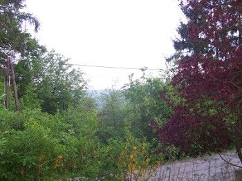 Aussicht ins Grüne
