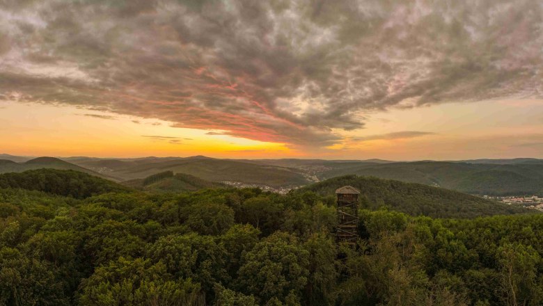 Rudolfswarte im sommerlich grünen Wald