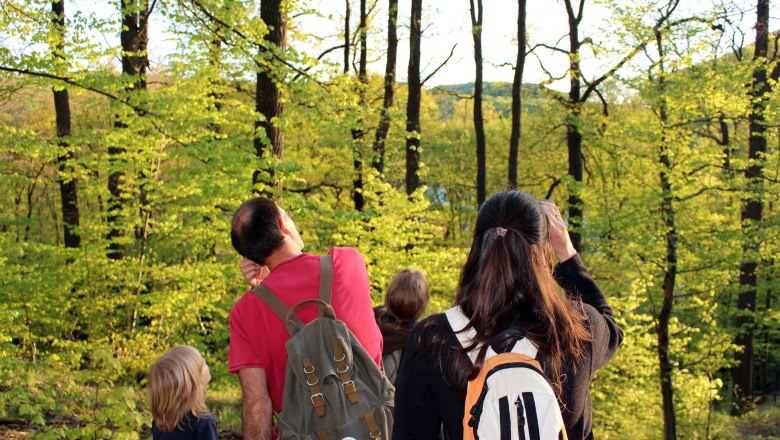 Forest tours with guides, © Natürlich Lernen