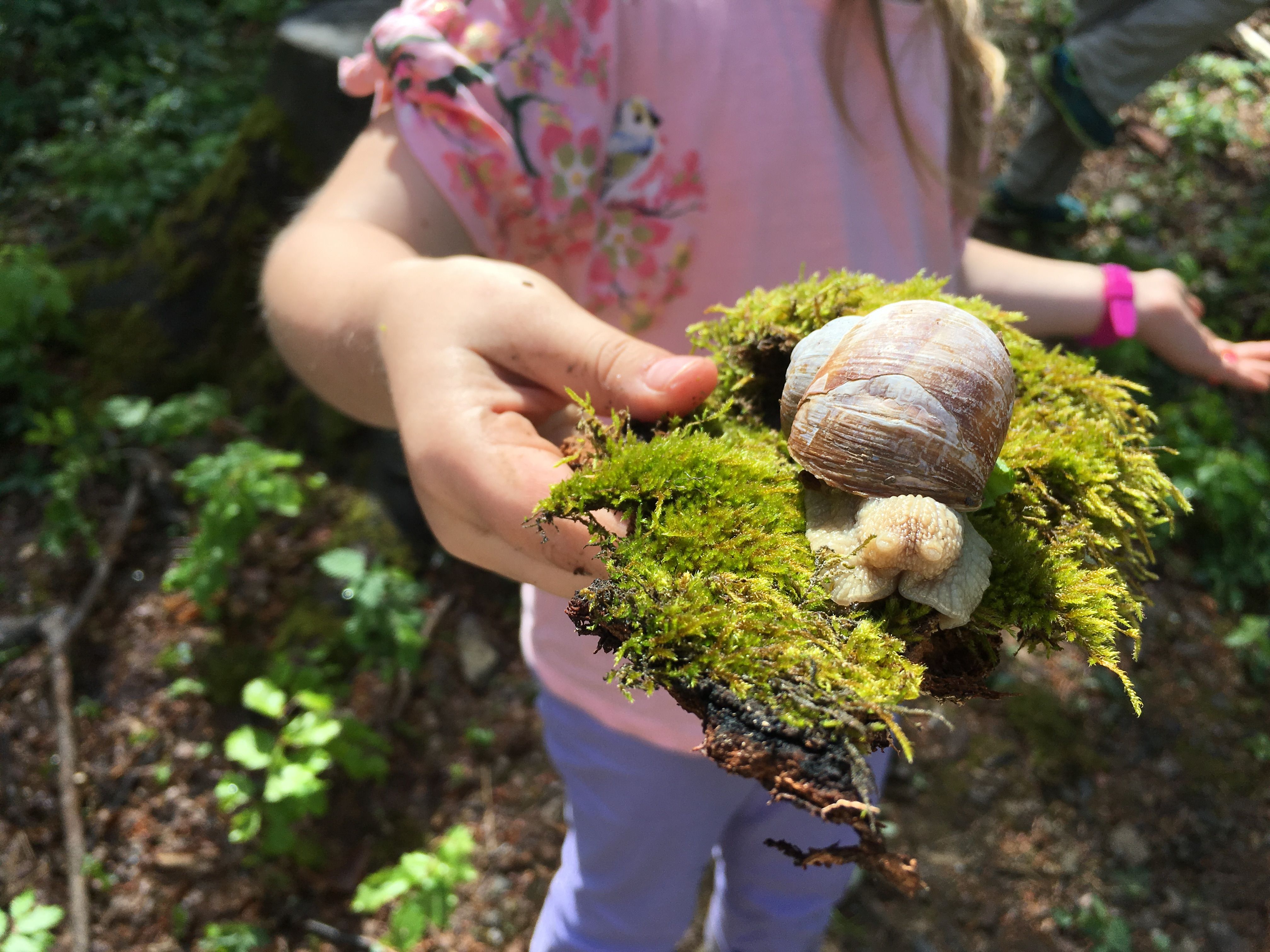 Schnecke auf Moos, Kind im Hintergrund