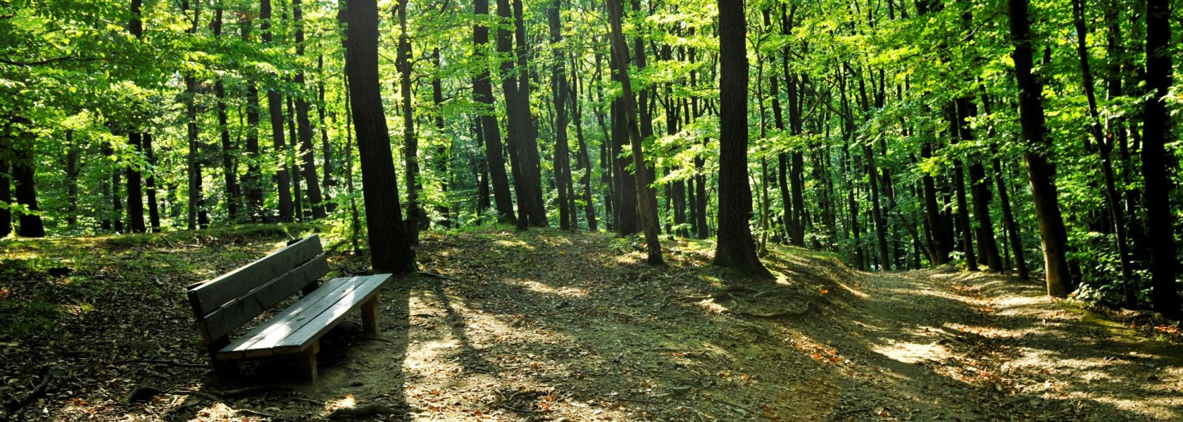 Natürliche Klimaanlage, © POV