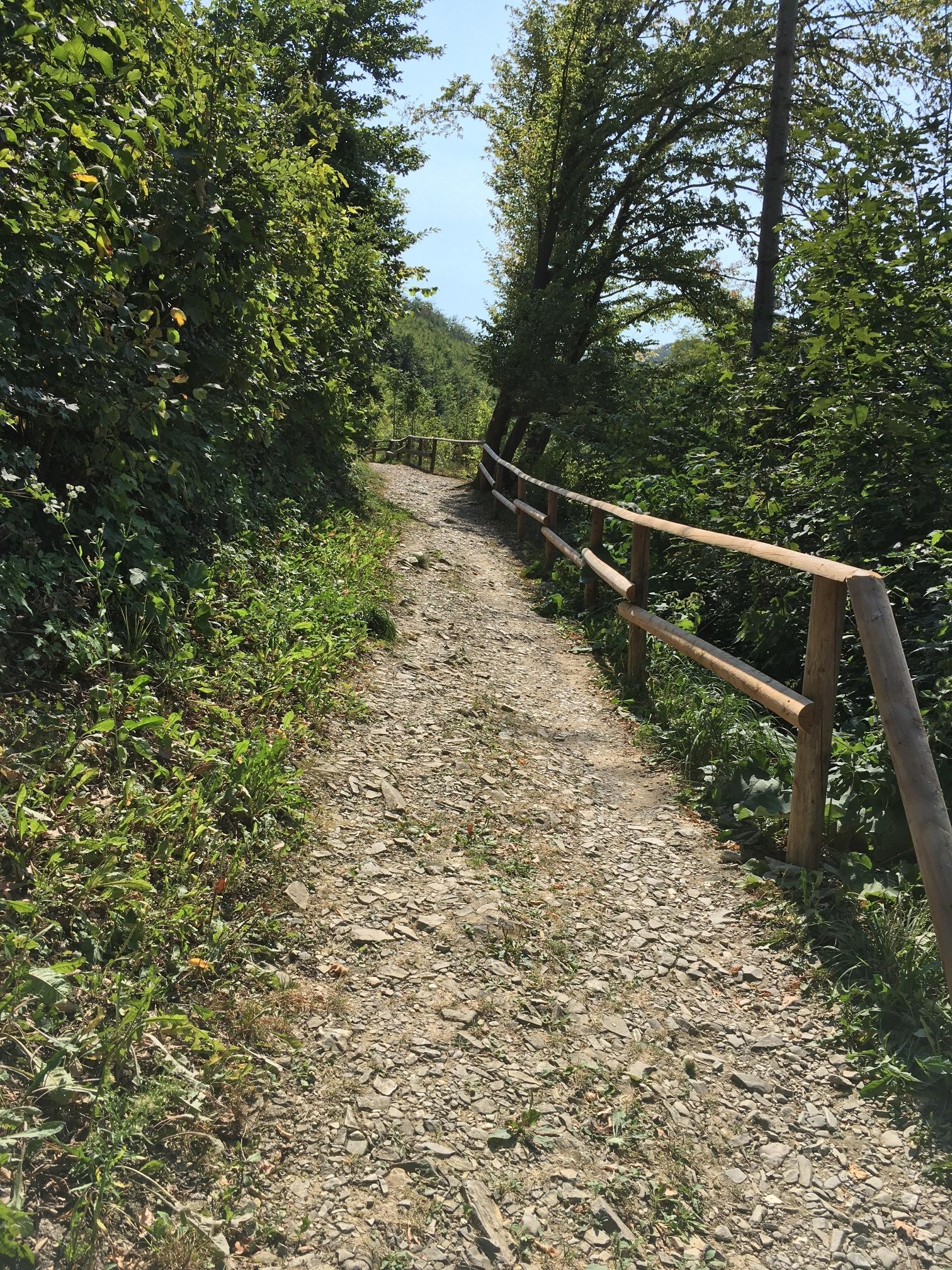 Nature trail