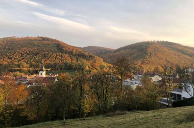 Veranstaltung: Aufblühen beim Waldfest auf der Feihlerhöhe 2021, © Naturpark Purkersdorf