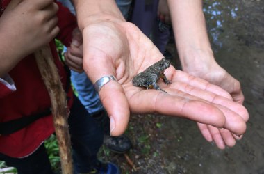 Sinnliche Entdeckungen für Schulen &amp; Kindergärten