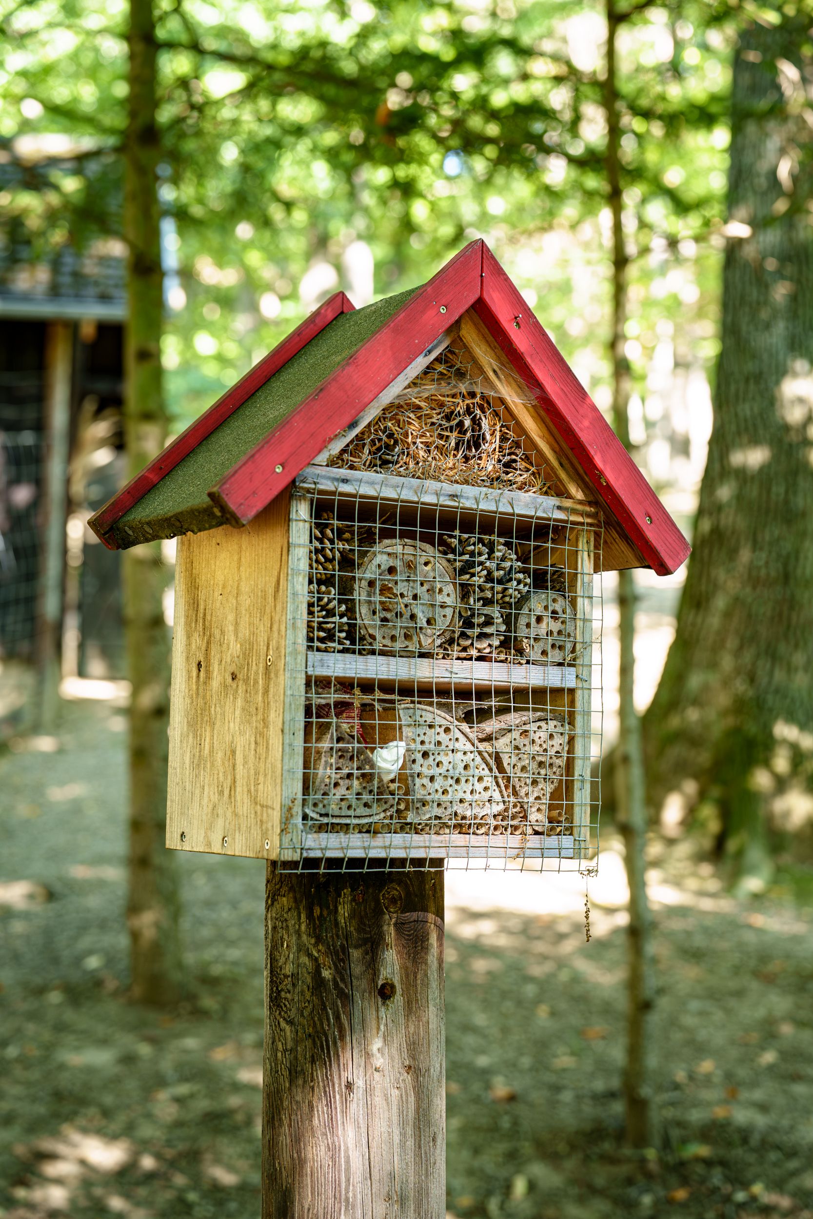 Insektenhotel im Wald, Nahaufnahme