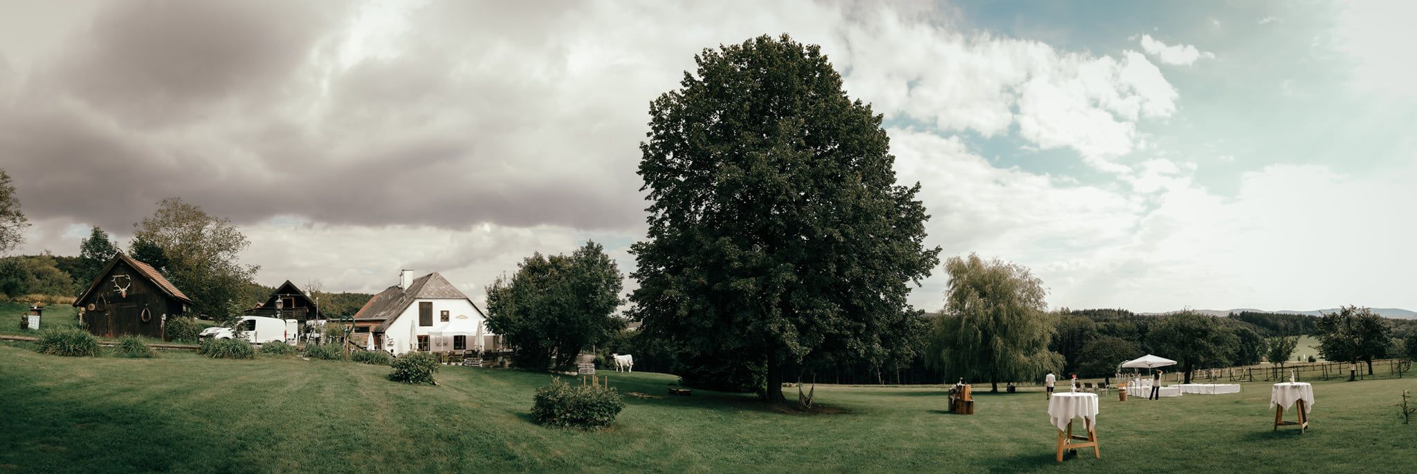 The garden