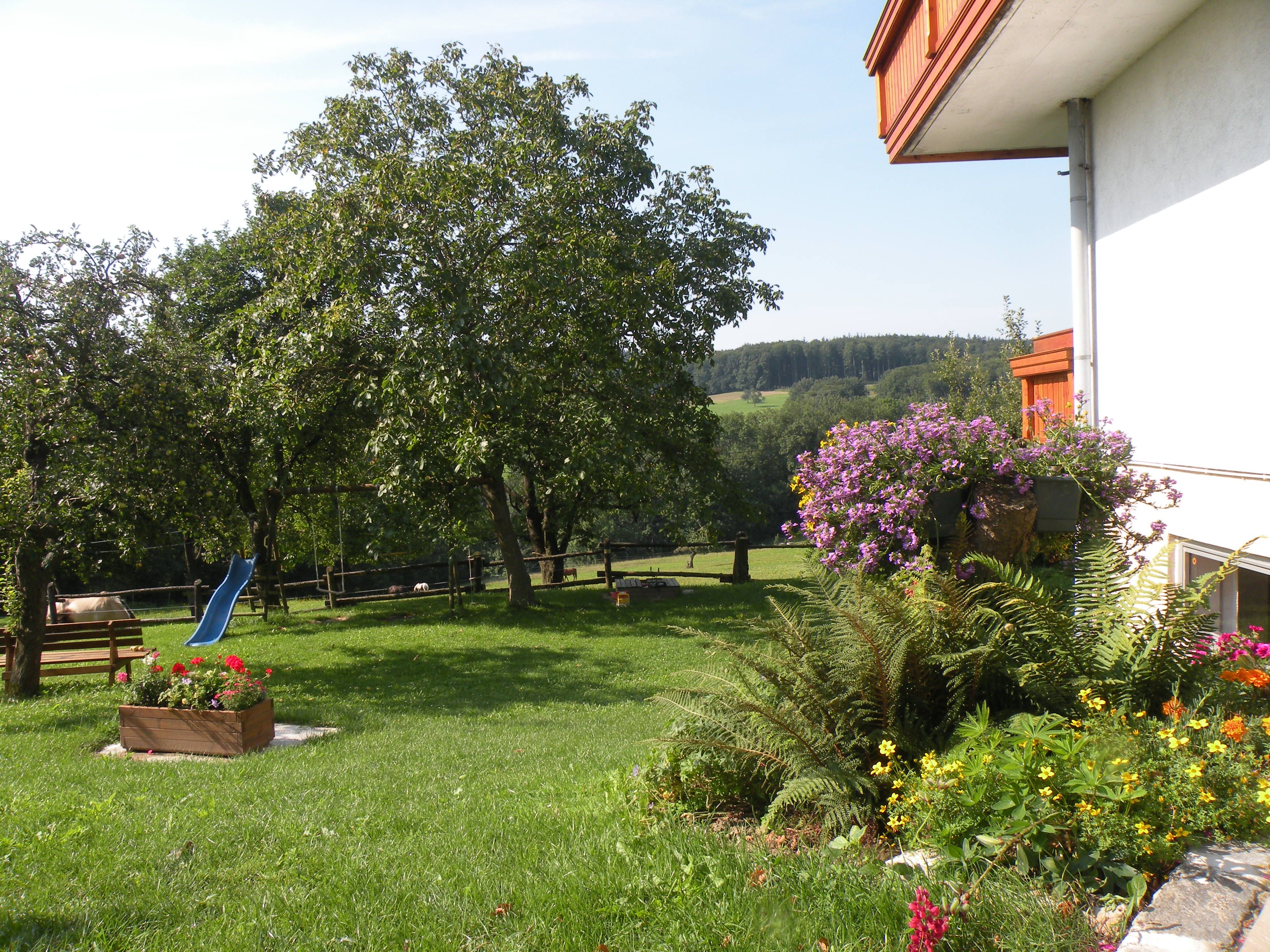 Ein grüner Garten mit Bäumen, Blumen und einer blauen Rutsche.