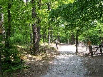 Der Wienerwald vor der Tür