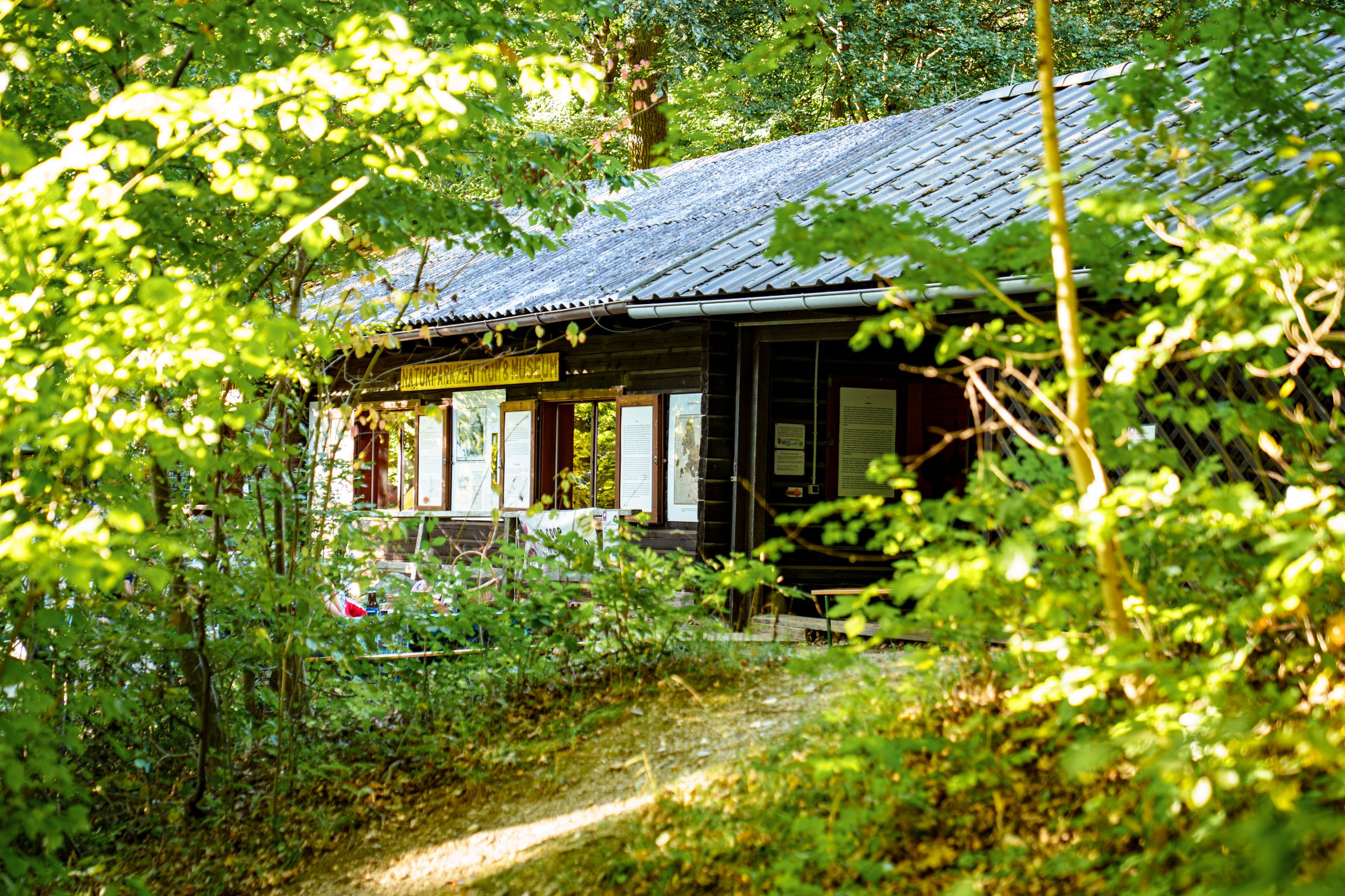 Wienerwaldmuseum, Wald