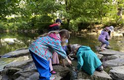Wasserforschen am Wienfluss