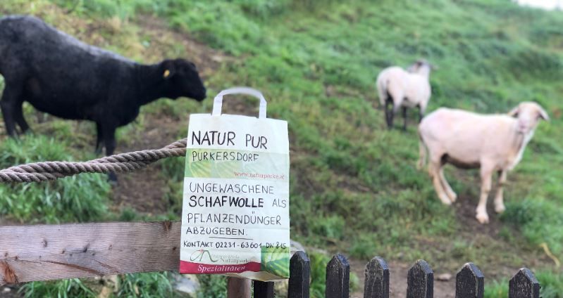 Schafwolle aus dem Naturpark.