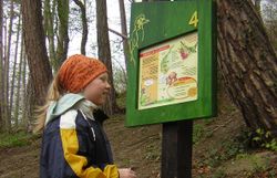 SAWI-Kinderstation am Naturerlebnisweg 