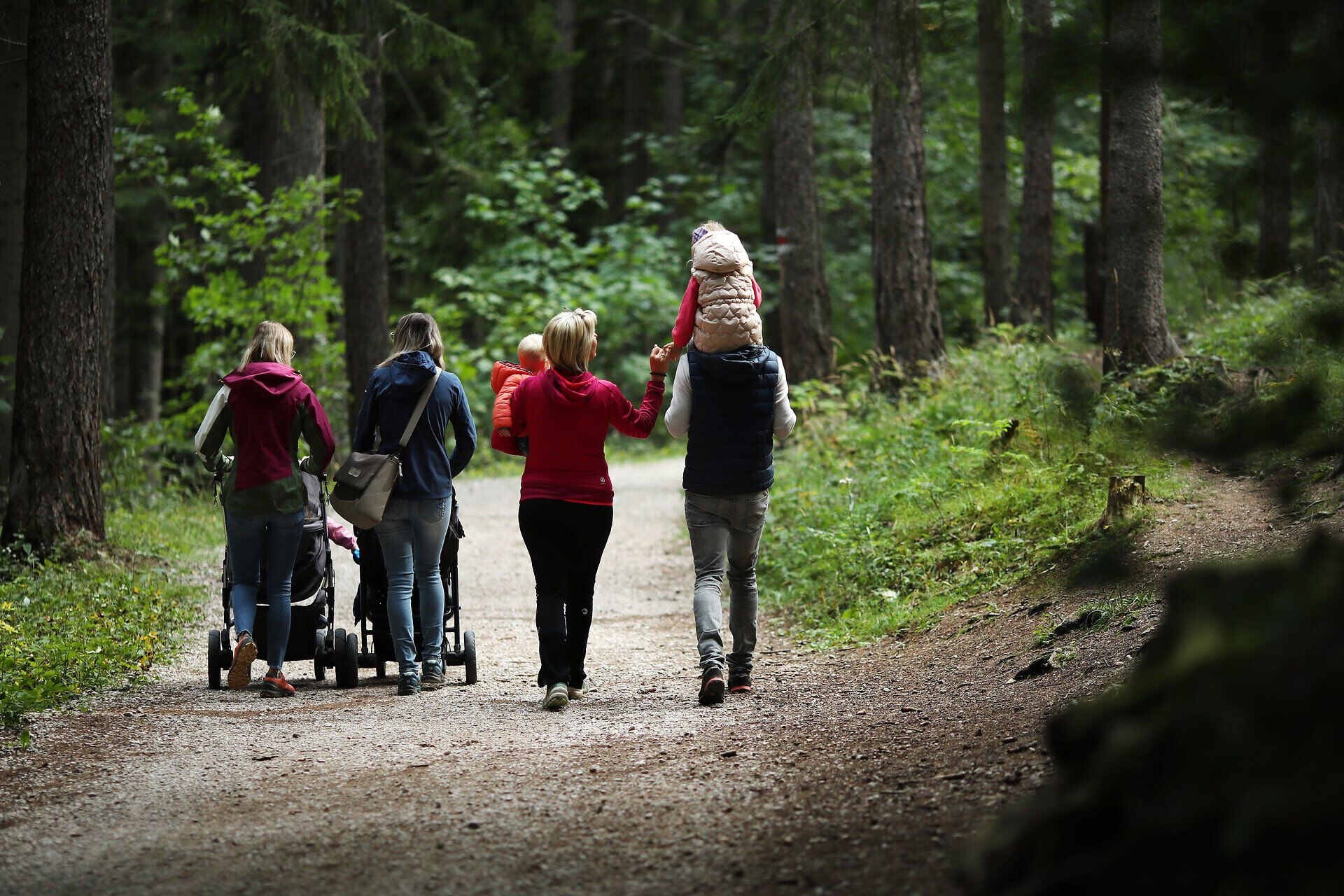 Eine Familie spaziert entlang einer Schotterstraße im Naturpark Hohe Wand. 