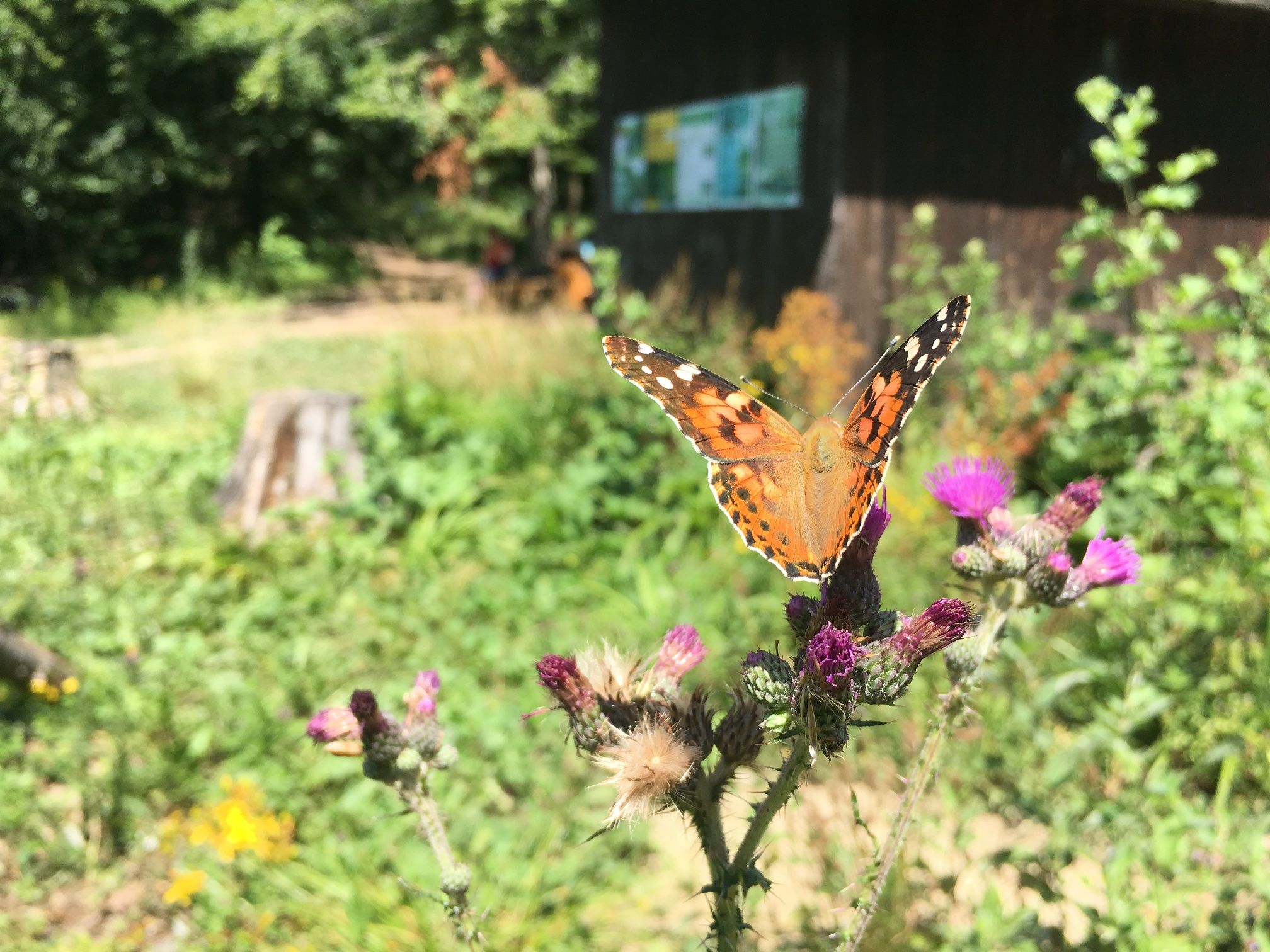 Purkersdorf Nature Park