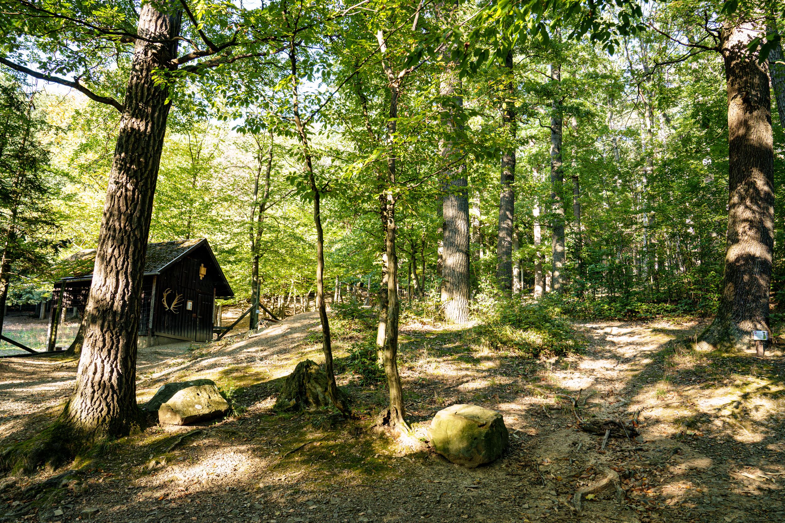 Hirschgehege, Hütte, Wald