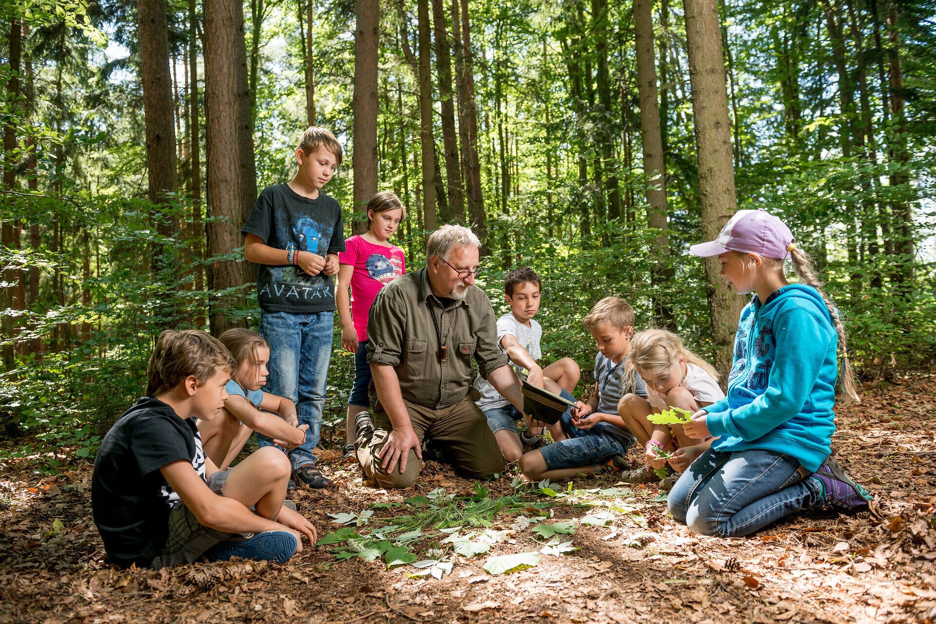Eine Gruppe von Kindern sitzt gespannt im Wald, während ein erfahrener Naturführer ihnen die Geheimnisse der Pflanzenwelt näherbringt. Umgeben von hohen Bäumen und dem sanften Licht der Sonne, erleben die jungen Entdecker eine unvergessliche Zeit in der Natur.