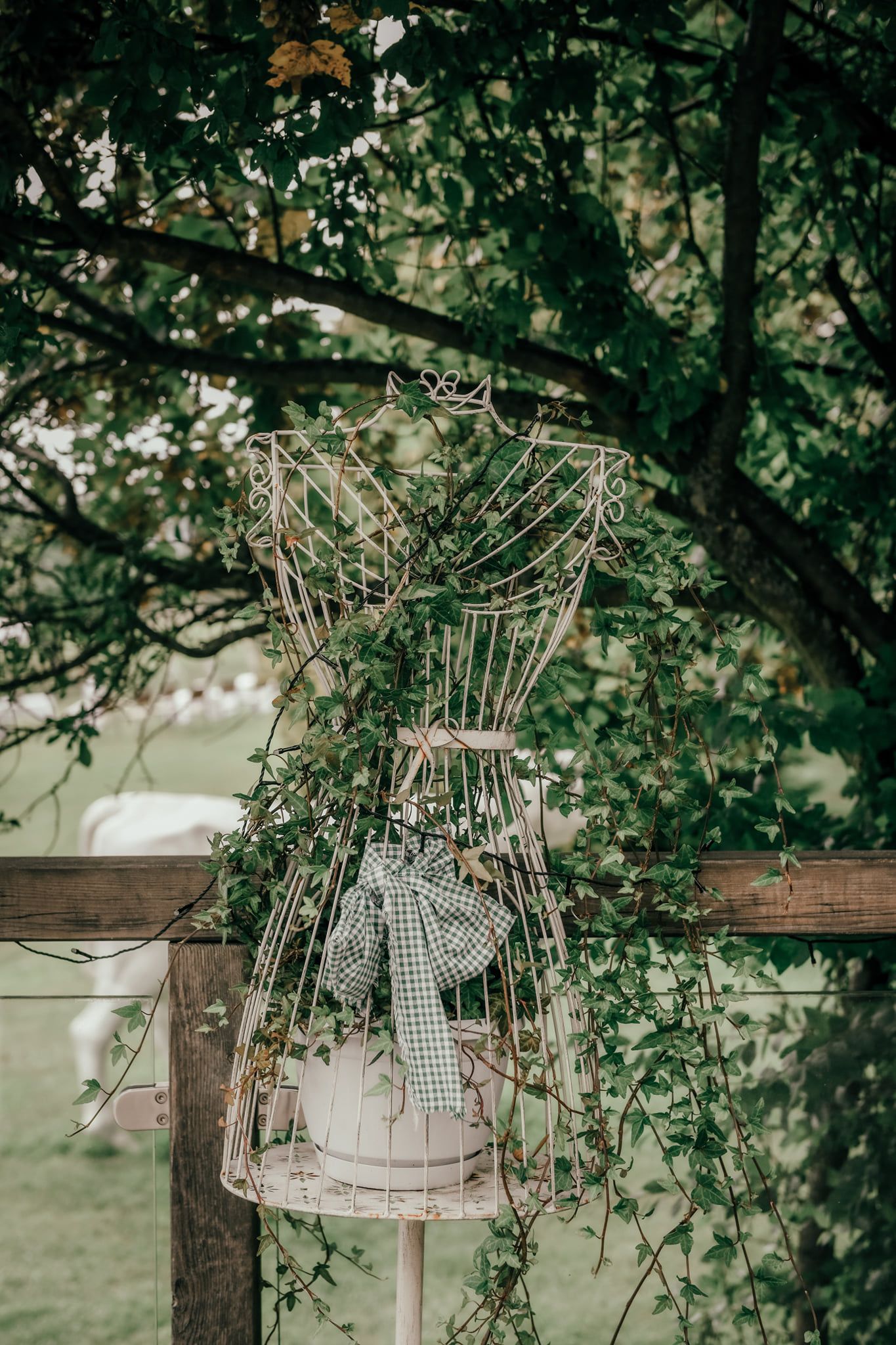 Decoration