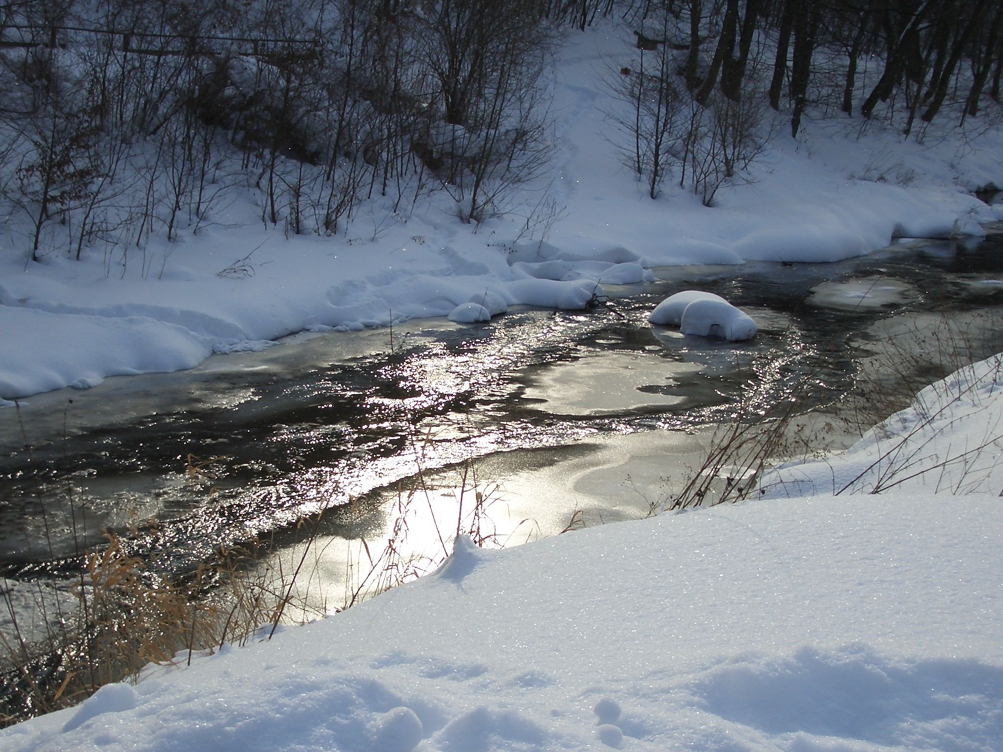 Der verschneite Wienfluss im Winter. 