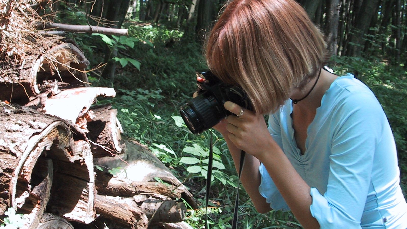 Naturparkforscherin entdeckt mit ihrer Kamera seltene Pflanzen und Tiere.