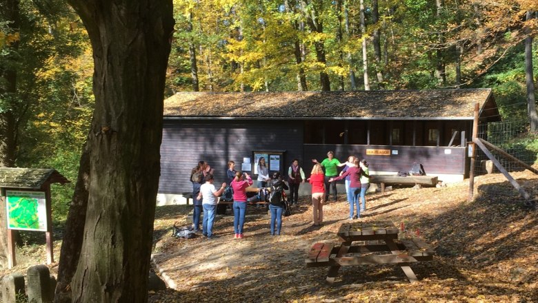 Teambuilding in der Natur