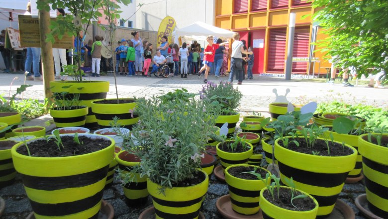 Tag der Artenvielfalt in der Naturpark-Schule, © Naturpark Purkersdorf - G.Orosel