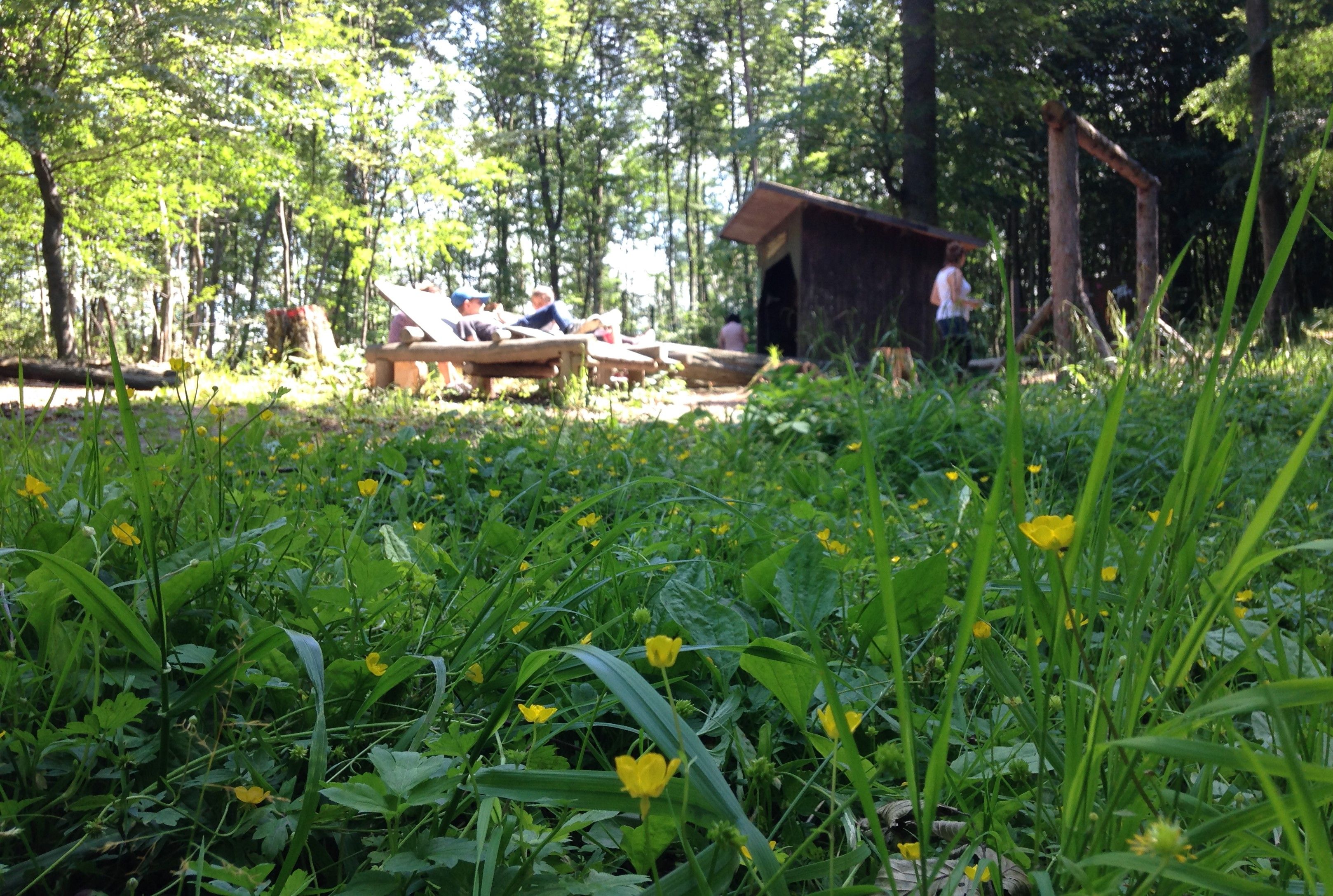 Entspannung beim Waldtreff-Lichtblick