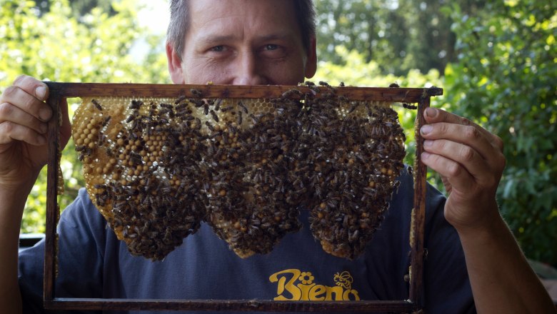 Our beekeeper &quot;Bieno&quot; produces organic honey.  , © Naturpark Purkersdorf