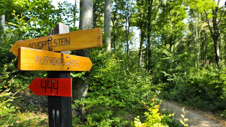 Willkommen beim Wandern im Wienerwald, © POV