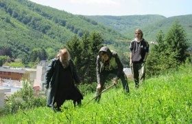 Scythe mowing at the Feihlerhöhe, © Naturpark Purkersdorf