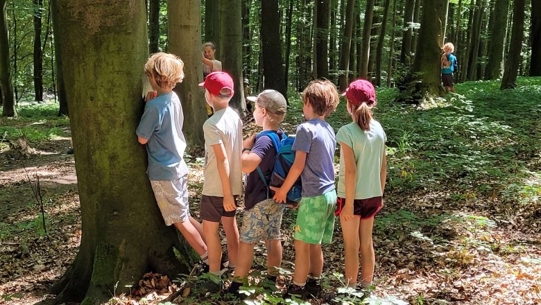 Partnerprogramm: Waldferienwochen mit Naturverwurzelt_2, © Moritz Formanek