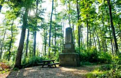Wald mit hohen Buchen und Stein-Denkmal 
