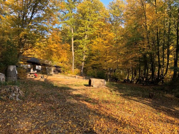 Naturpark im Herbst, © Naturpark Purkersdorf