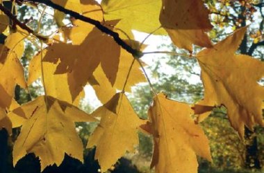 Herbst im Naturpark