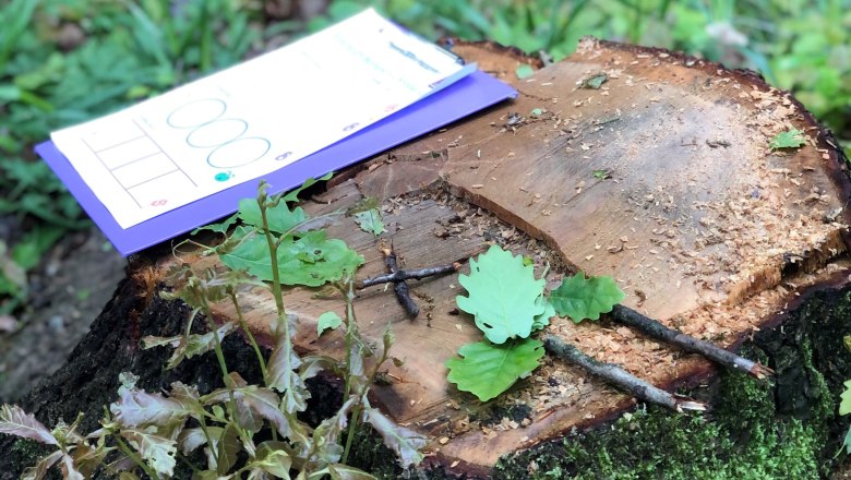 Learning in nature - math is fun! , © Naturpark Purkersdorf