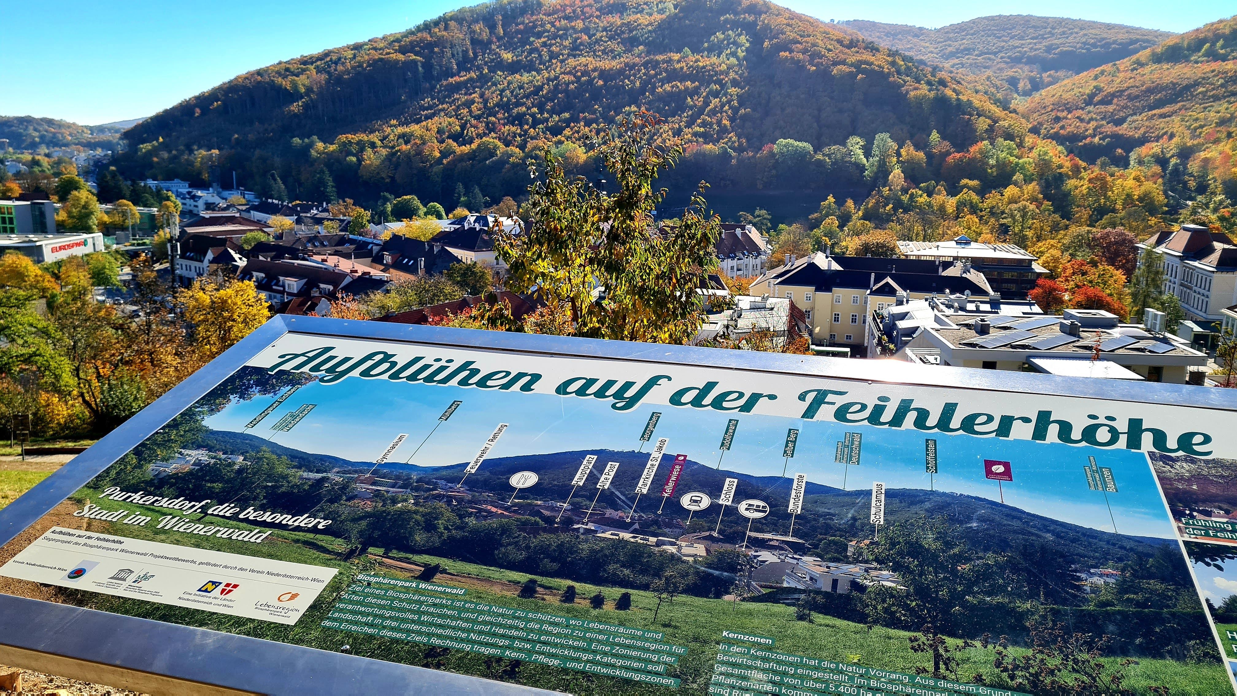 Texttafel über die Feihlerhöhe, im Hintergrund Purkersdorf und ein herbstlicher Wald.  