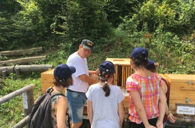 Fascinating honeybees (with our partner beekeeper &quot;Bieno&quot;) , © Naturpark Purkersdorf