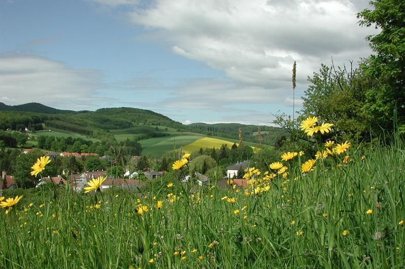 Hotel  Rosner
