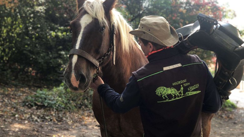 Draw Horse Nature Park - Gentle Forest Management , © Naturpark Purkersdorf