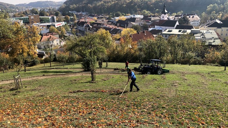 Ausblick von der Feihlerhöhe auf das Stadtzentrum, © Naturpark Purkersdorf