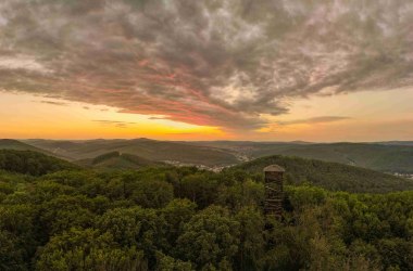 Rudolfswarte im sommerlich grünen Wald